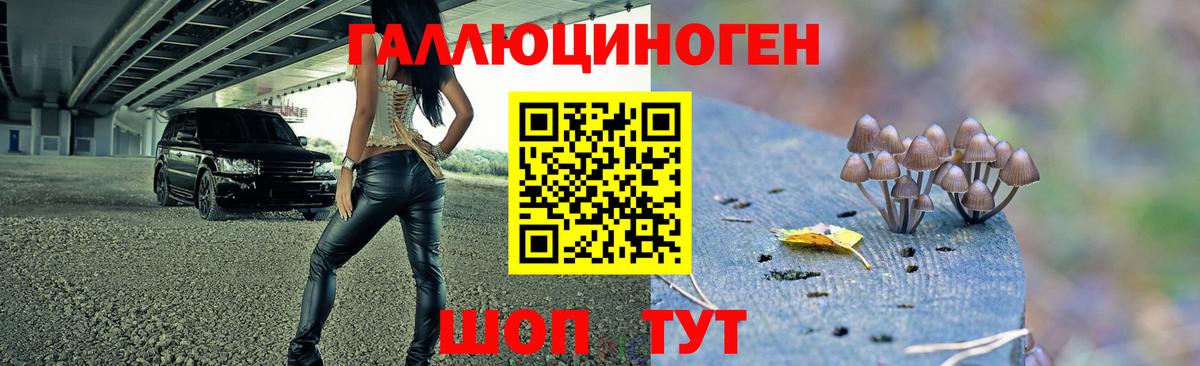 где купить наркотик  Вход с VPN  Альметьевск  Галлюциногенные грибы Psilocybe  Псилоцибиновые грибы мухоморы 